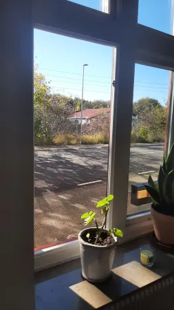 Room in BB - Strandhgardens Stay BBB Отели в г. Vellinge