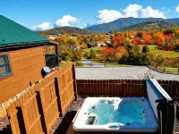 ROMANTIC Couples Log Cabin #9 Escape Hot Tub Fireplace Mountain Views LURAY
