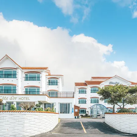 Cote Dor Hotel Отели рядом с достопримечательностью «Пляж Джимйонг»