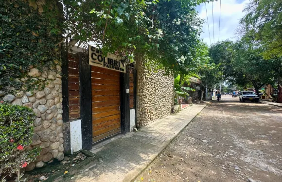 科利布里之家帕洛米諾