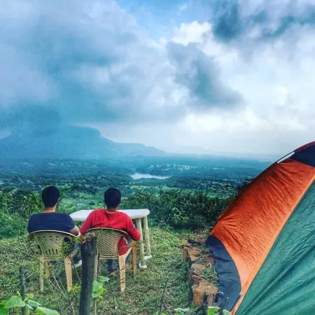 Canary Forest Camping