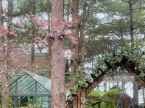 T'Măng ĐEENG Homestay