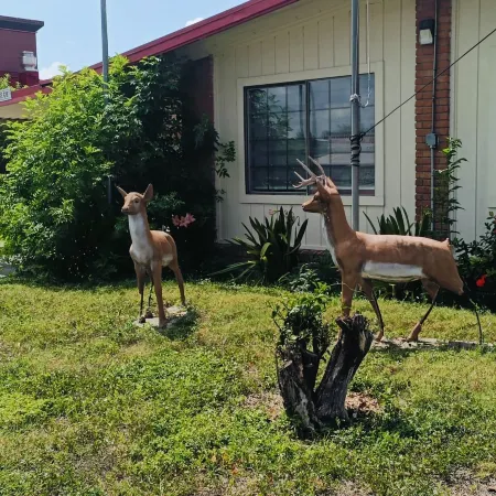 PEN Ann by Capital O Pharr McAllen TX