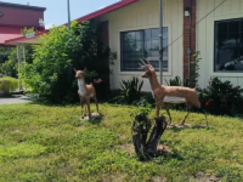 Pen Ann by Capital O 法爾/麥卡倫 TX