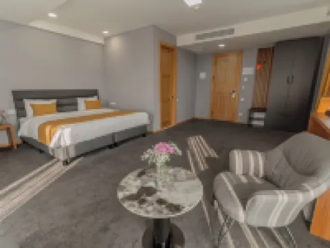 Burki Castle & Cellar Hotels in Kvareli