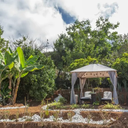 Holiday Home in Tenerife with Private Garden