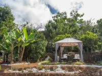 Holiday Home in Tenerife with Private Garden