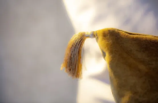 Hotel Zur Feldmühle