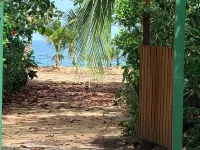 BEACH FRONT HOUSE 50mts from the water. PUNTA UVA ARRECIFE Hotels in Punta Uva