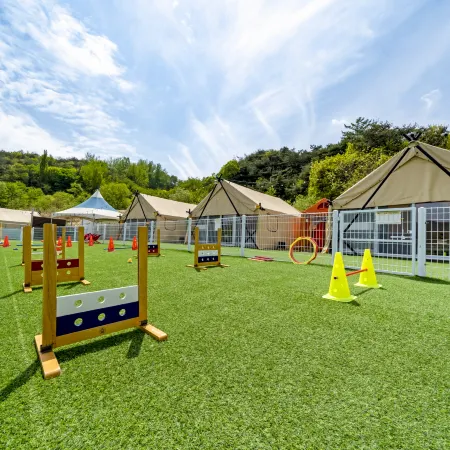 Qingdao is Exciting Dog Glamping