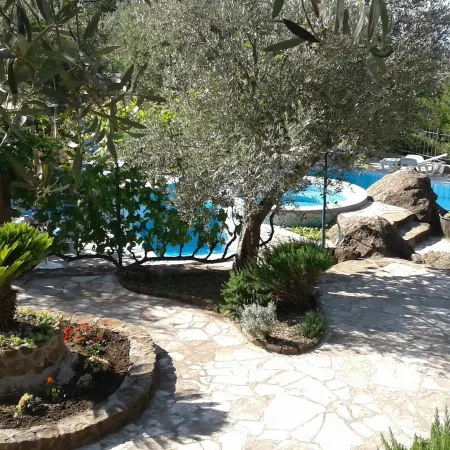 Resort "Maslinjak"