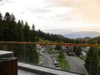 Swissôtel Poiana Brasov - Mountain view