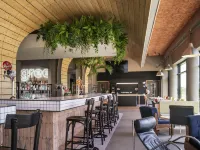 Greet Hotel Cernay Mulhouse - Mountain view