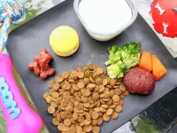 ドッグランがある宿-ペンション歩野慕野-HONOBONO - 朝食