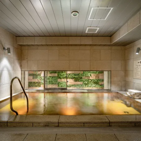 Super Hotel Premier Osaka Honmachi Ekimae Natural Hot Springs