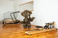 Hunguest Hotel Beke - Gym