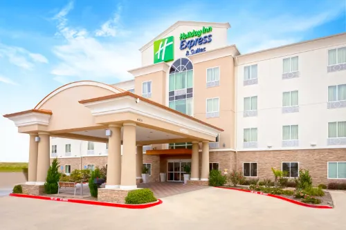 Holiday Inn Express & Suites DALLAS W - I-30 COCKRELL HILL by IHG - spa