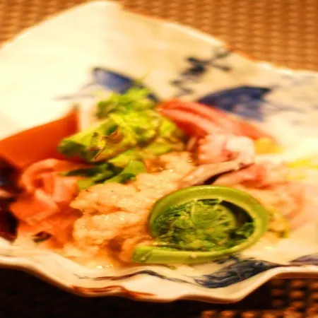 Ohmaru Onsen Ryokan