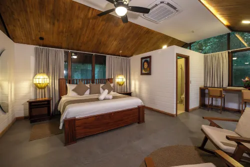 Pachira Lodge - WiFi