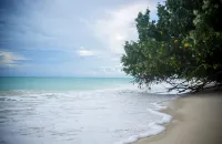 翡翠壁虎度假村-哈夫洛克島