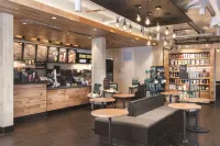 Hilton Clearwater Beach Resort & Spa - bar