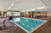 Comfort Inn - Pet Friendly