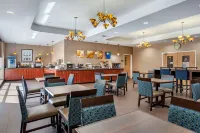Comfort Suites Airport Hotels in Brandon