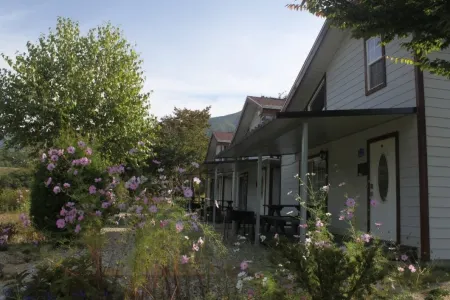 Yanggu Always Sol Pension