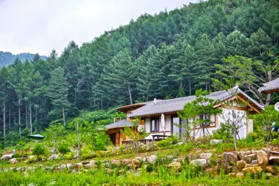 Yeongju Go There Pension 浮石寺附近的飯店