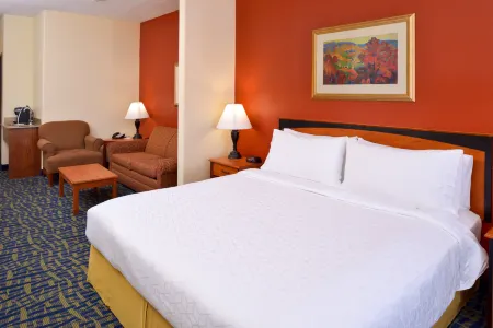 Holiday Inn Express & Suites Alamosa