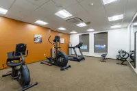 Comfort Inn & Suites - Harrisburg Airport - Hershey South - Træningscentre