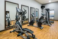 Comfort Suites DeSoto Dallas South - Gym