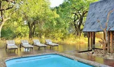Black Rhino Game Lodge Hotels near Pilanesberg