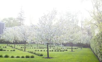 a lush green field with a row of cherry blossom trees in full bloom , creating a picturesque scene at Topping Rose House