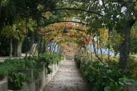 Quinta da Cumieira