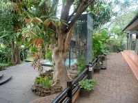 Laletsa Lodge Bed & Breakfast ベレアのホテル