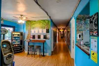 California Dreams Hostel - Downtown - Hostels