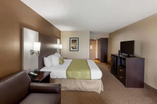 Best Western Plus Leamington Hotel  Conference Centre