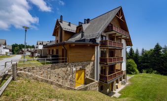 Pohorje Village Wellbeing Resort - Forest Hotel Videc