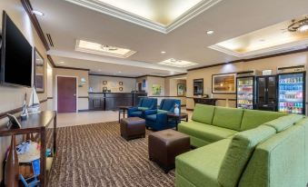 Comfort Inn & Suites St Pete - Clearwater International Airport