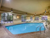 Staybridge Suites MILWAUKEE AIRPORT SOUTH by IHG - Swimmingpools