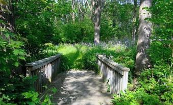 a wooden bridge over a dirt path in a lush green forest , surrounded by tall trees at Finger Lakes Bed and Breakfast