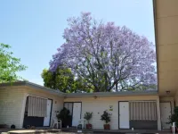 Red Cedar Motel فنادق في Muswellbrook