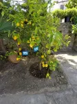 Panorama Hotel Bodrum Hotels in Dagbelen Mahallesi