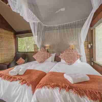 Nkambeni Safari Camp Rooms