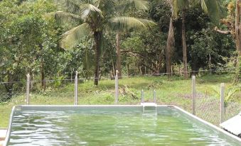 Jungle Nest Homestay