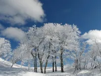 Aizu Astraea Hotel Hotels in Minamiaizu