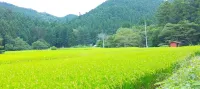 Takao Vacation House Sora - 2つ星