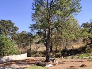 Finca Mayorga en Amealco, Querétaro