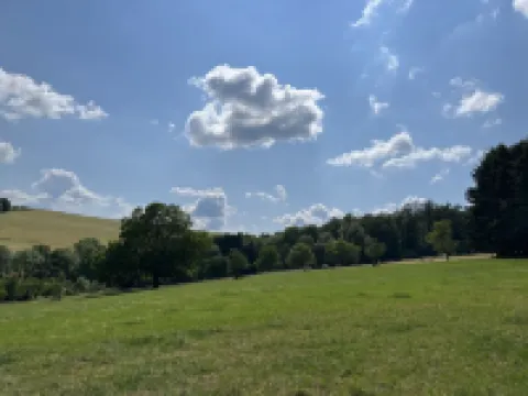 Hartmann im Odenwald